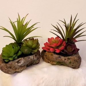 Ashland Garden Collection 2-bundle